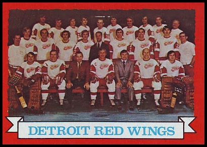 97 Red Wings Team